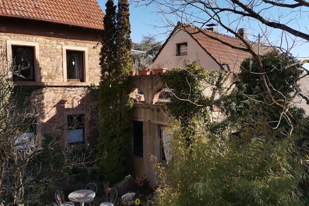 단넨펠스 "Casita Linda "Am Donnersberg 빌라 외부 사진