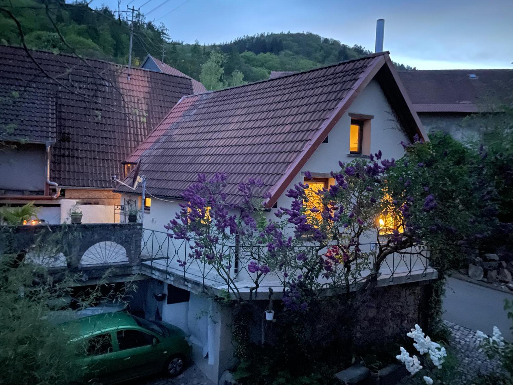 단넨펠스 "Casita Linda "Am Donnersberg 빌라 외부 사진