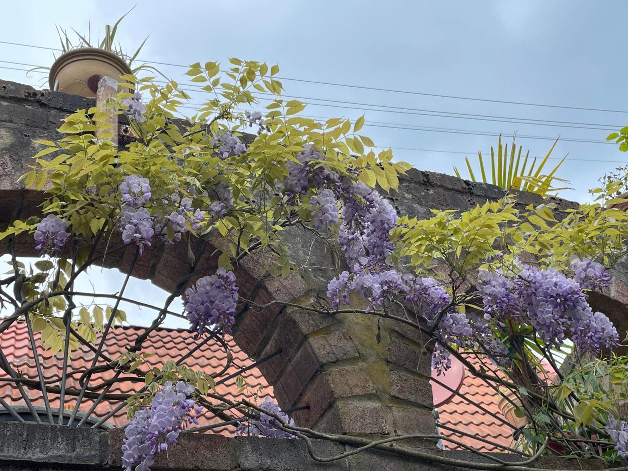 단넨펠스 "Casita Linda "Am Donnersberg 빌라 외부 사진