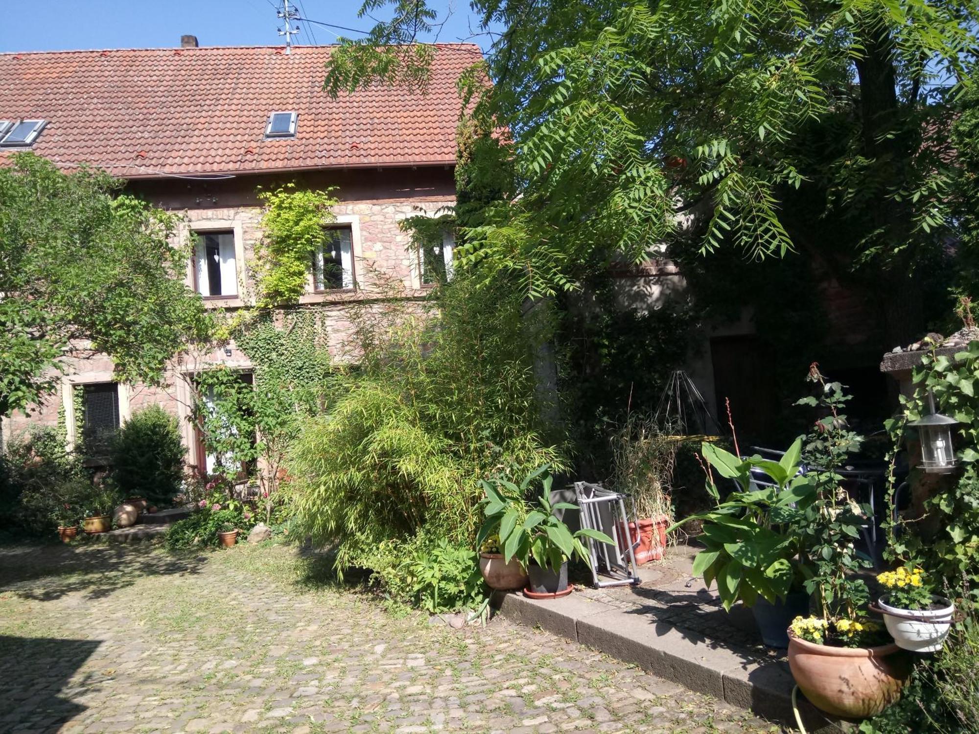 단넨펠스 "Casita Linda "Am Donnersberg 빌라 외부 사진