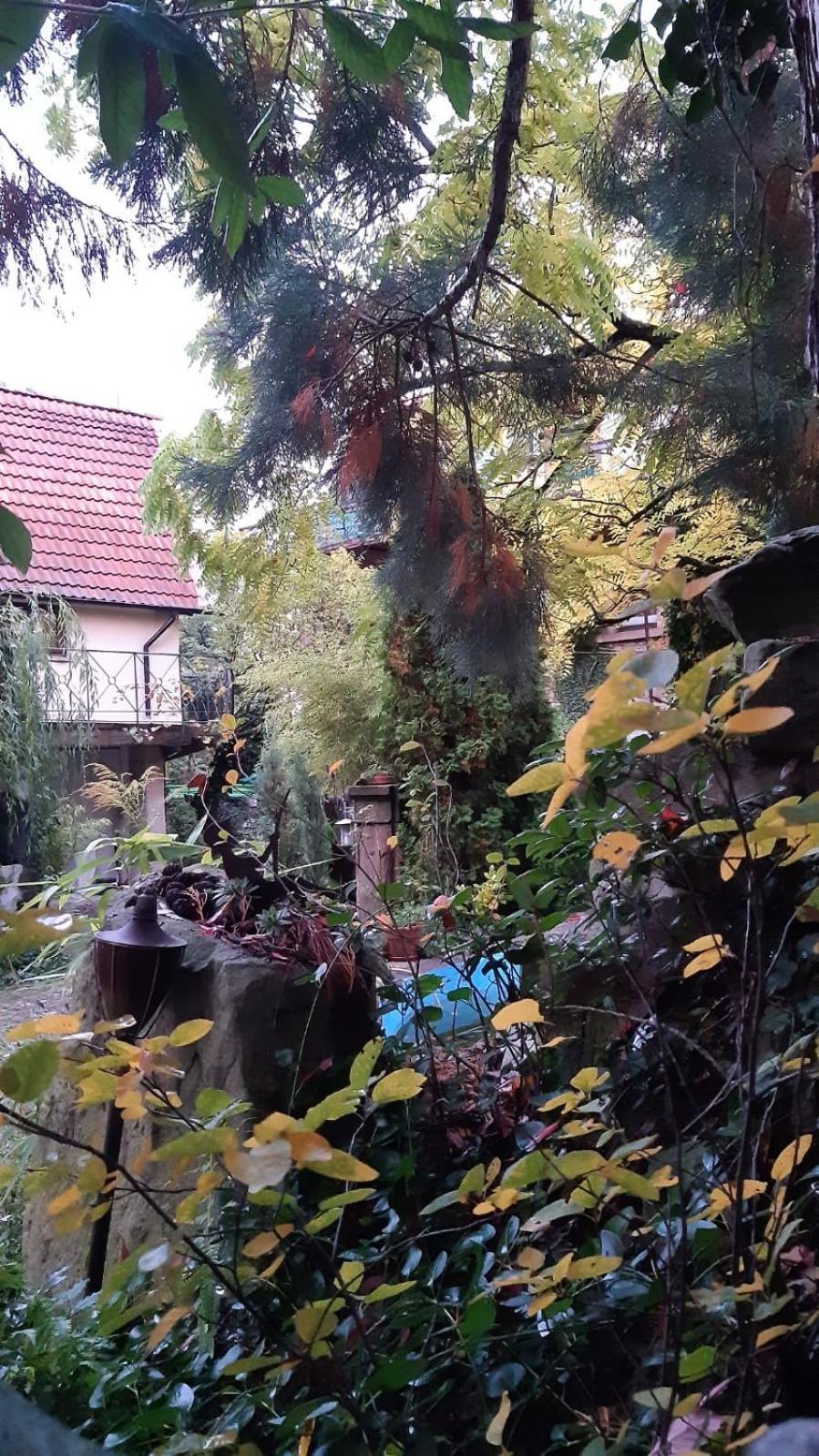 단넨펠스 "Casita Linda "Am Donnersberg 빌라 외부 사진