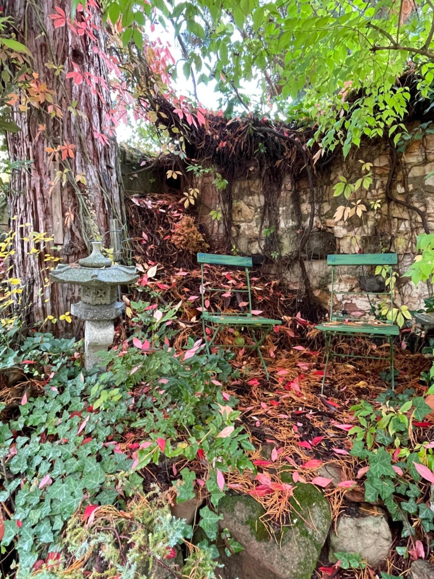 단넨펠스 "Casita Linda "Am Donnersberg 빌라 외부 사진